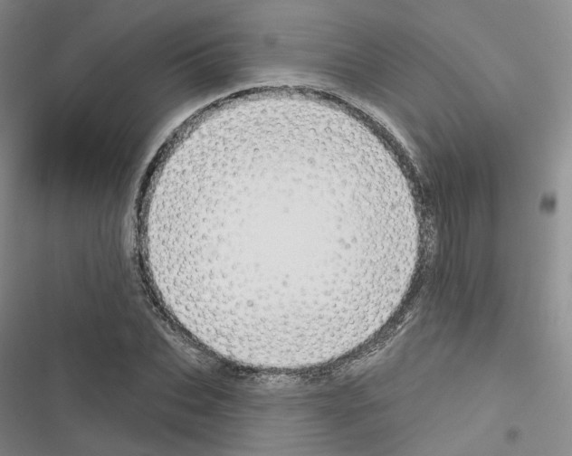 X0000116650927201001251154