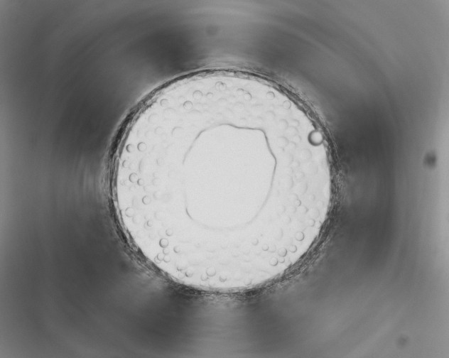 X0000116650931201001251154