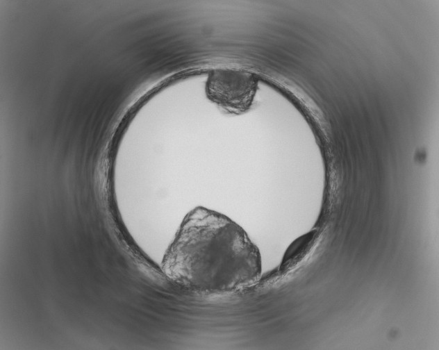 X0000116650933201001251154