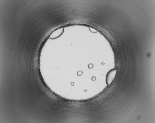 X0000116650934201001251154