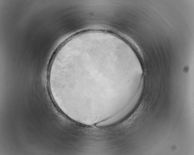 X0000116650935201001251154