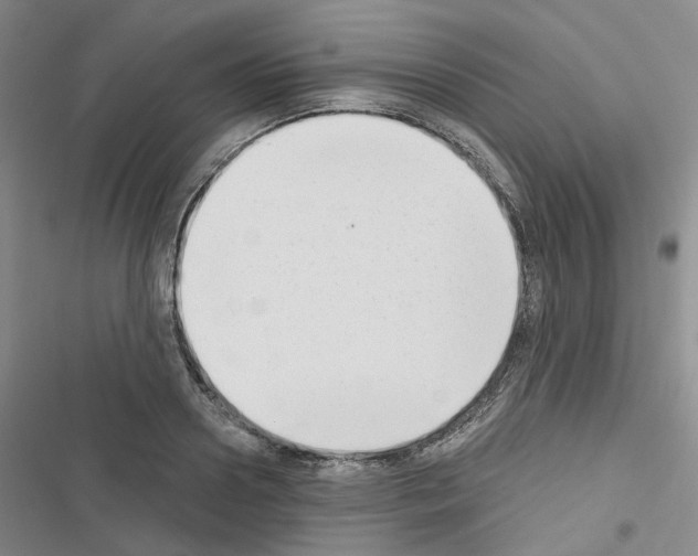 X0000116650938201001251154