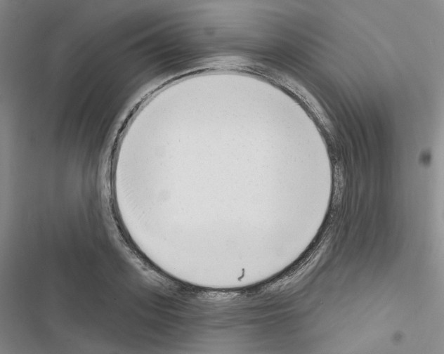 X0000116650939201001251154