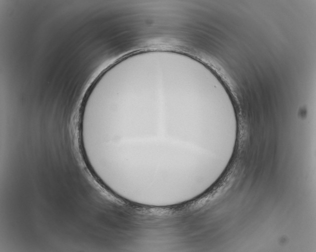 X0000116650941201001251154