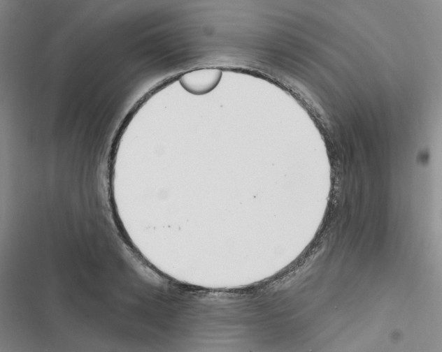 X0000116650942201001251154