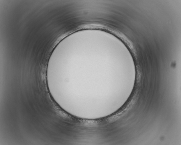 X0000116650945201001251154