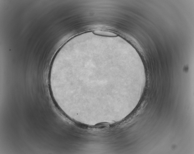 X0000116650946201001251154