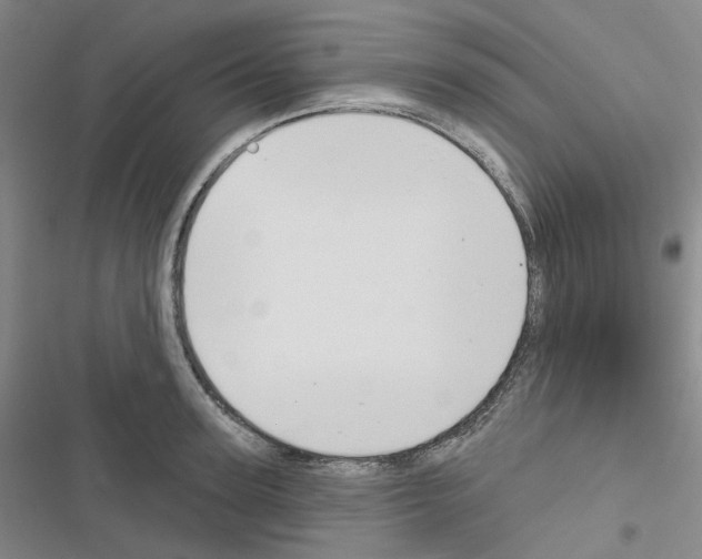 X0000116650947201001251154