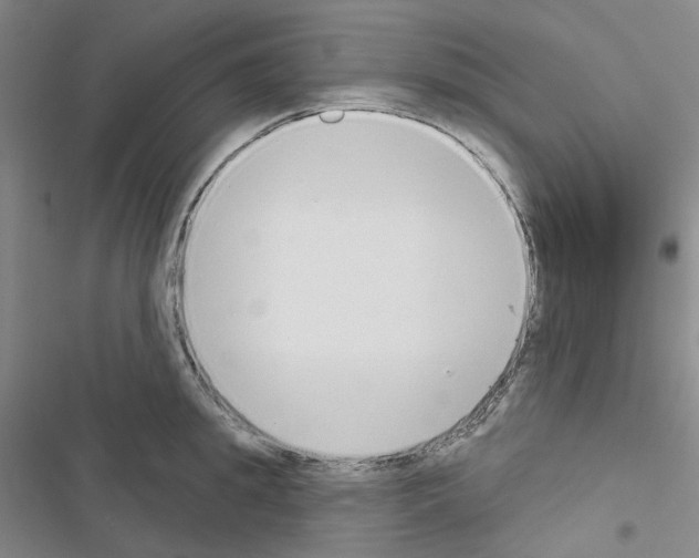 X0000116650949201001251154