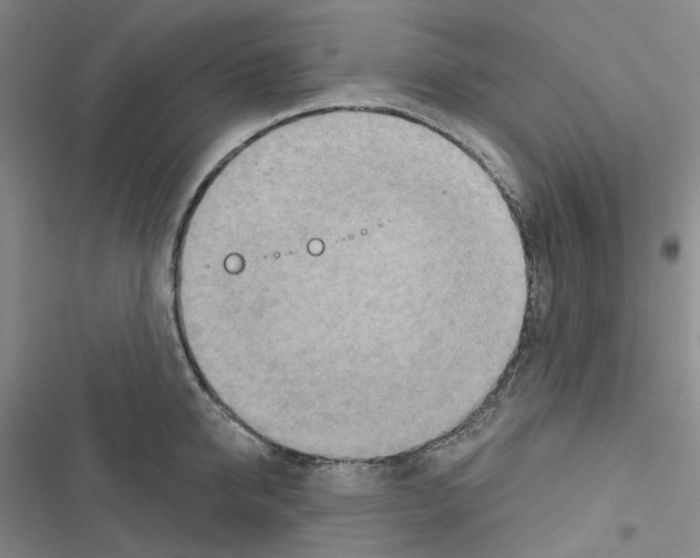 X0000116650950201001251154