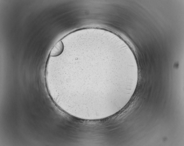 X0000116650951201001251154