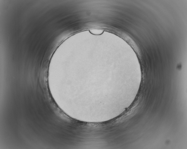 X0000116650954201001251154