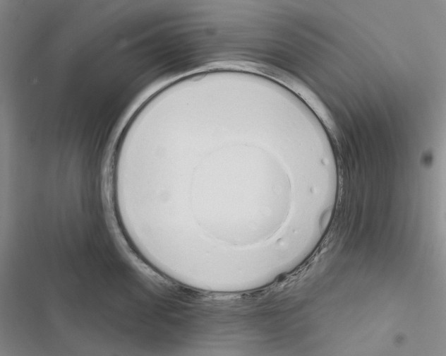 X0000116650955201001251154