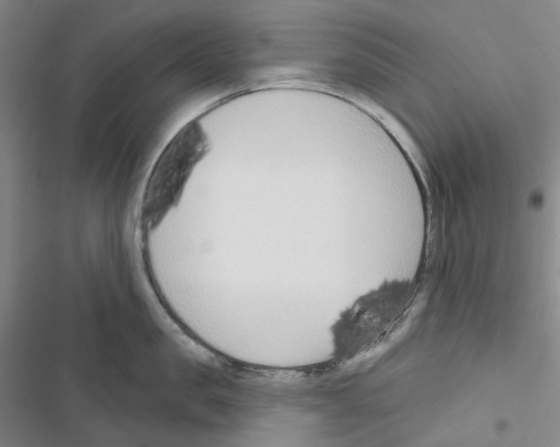 X0000116650957201001251154