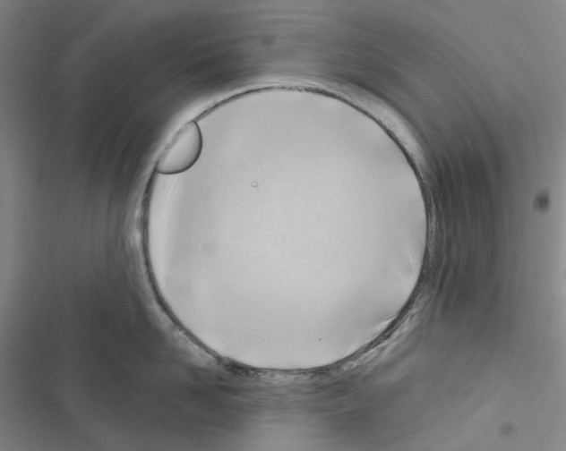 X0000116650958201001251154