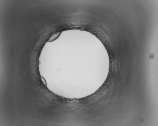 X0000116650961201001251153