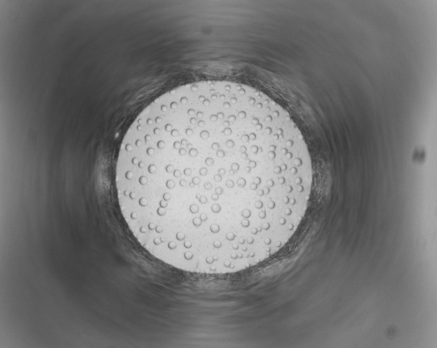 X0000116650962201001251153