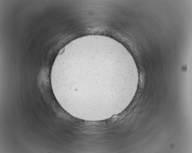 X0000116650963201001251153