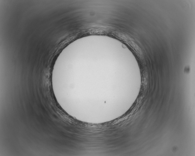 X0000116650964201001251153