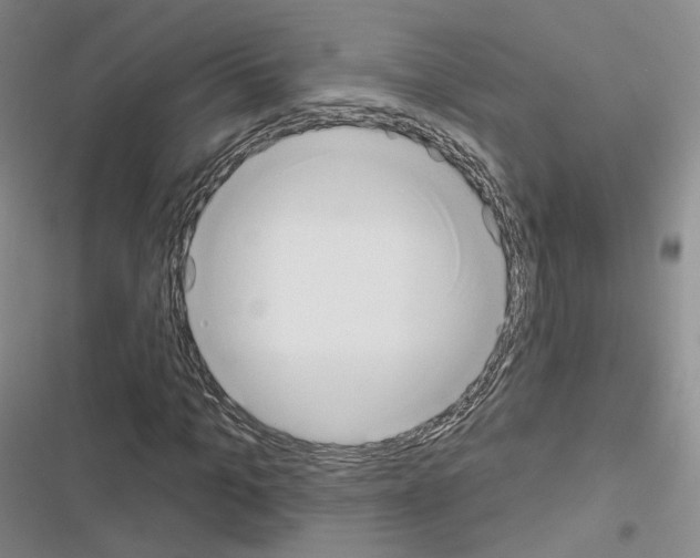 X0000116650965201001251153