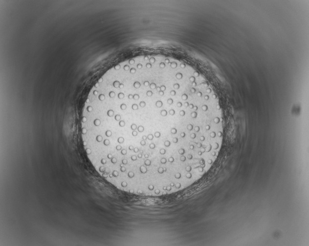 X0000116650966201001251153