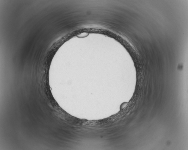 X0000116650967201001251153