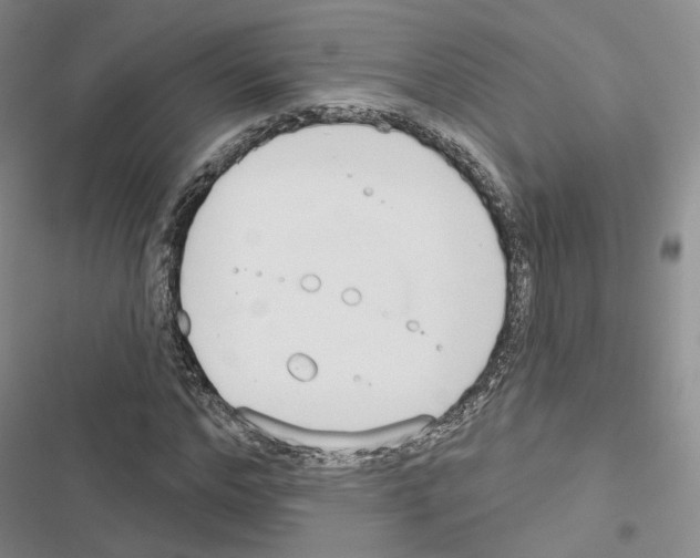 X0000116650968201001251153