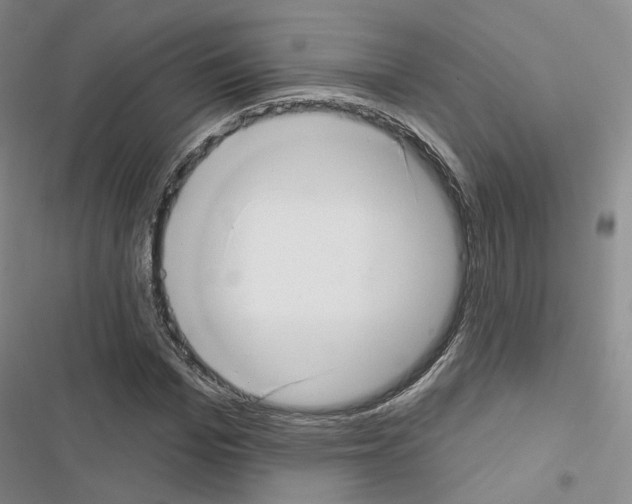 X0000116650969201001251153