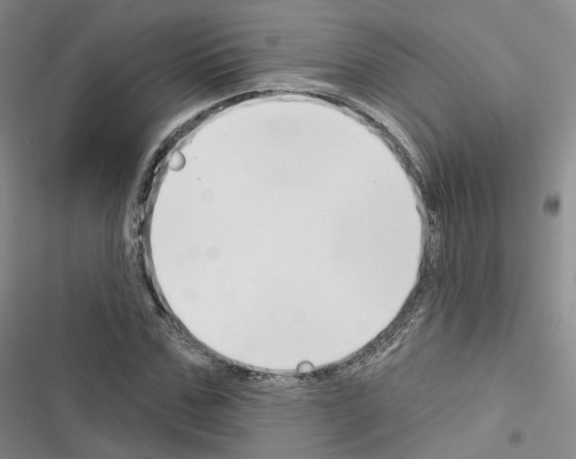 X0000116650971201001251153