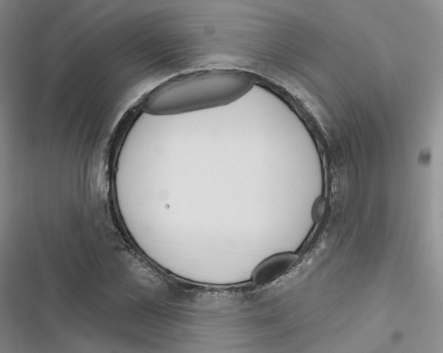 X0000116650973201001251153