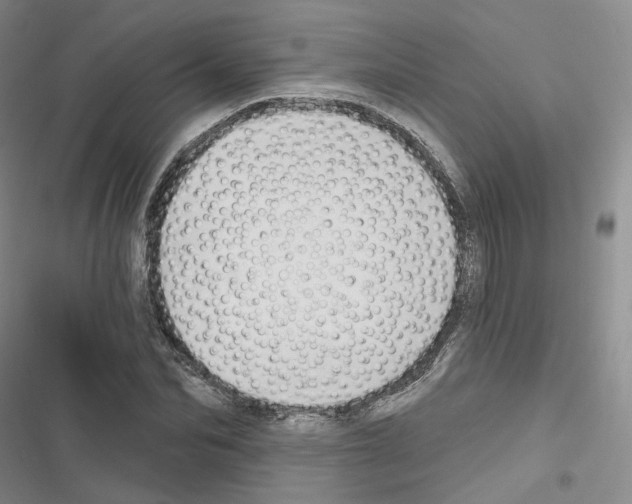 X0000116650974201001251153