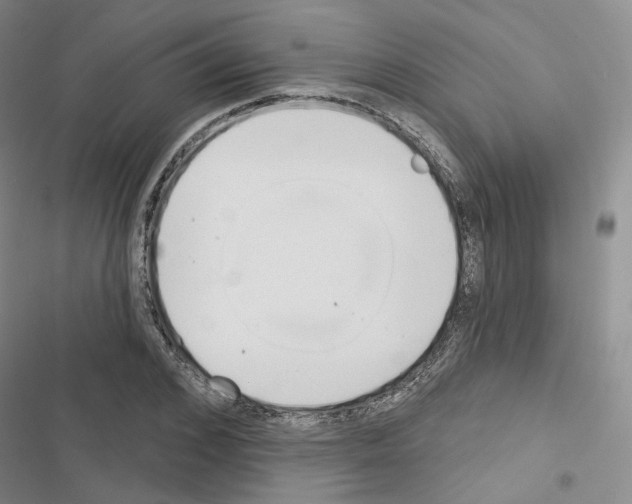 X0000116650976201001251153