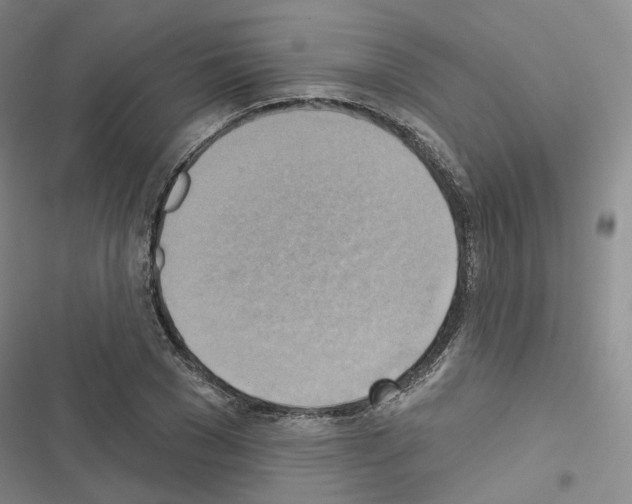 X0000116650977201001251153