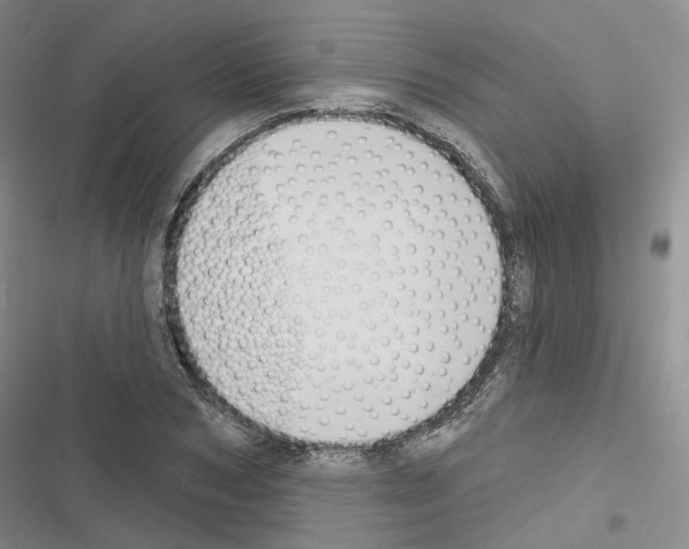 X0000116650978201001251153