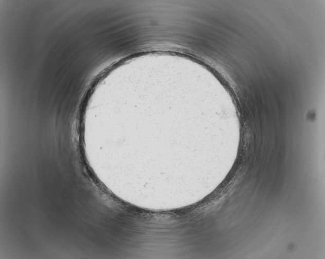 X0000116650979201001251153