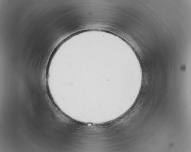 X0000116650980201001251153