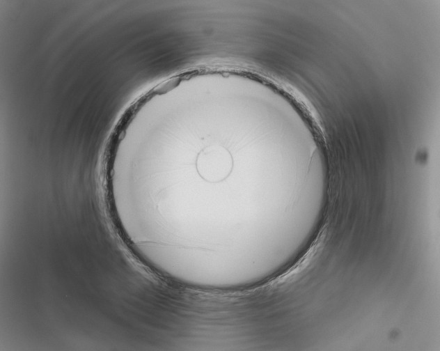 X0000116650981201001251153