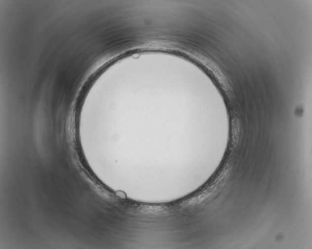 X0000116650982201001251153