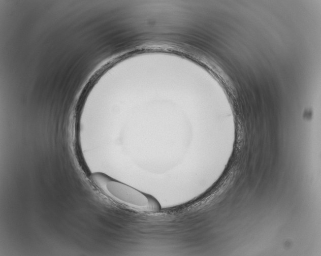 X0000116650984201001251153