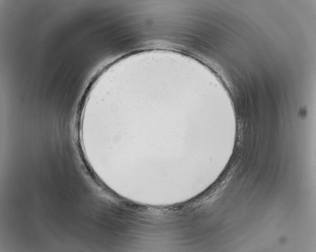 X0000116650987201001251153
