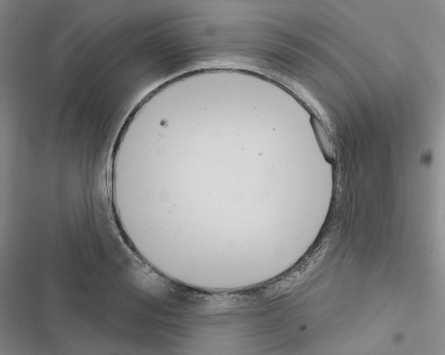 X0000116650988201001251153