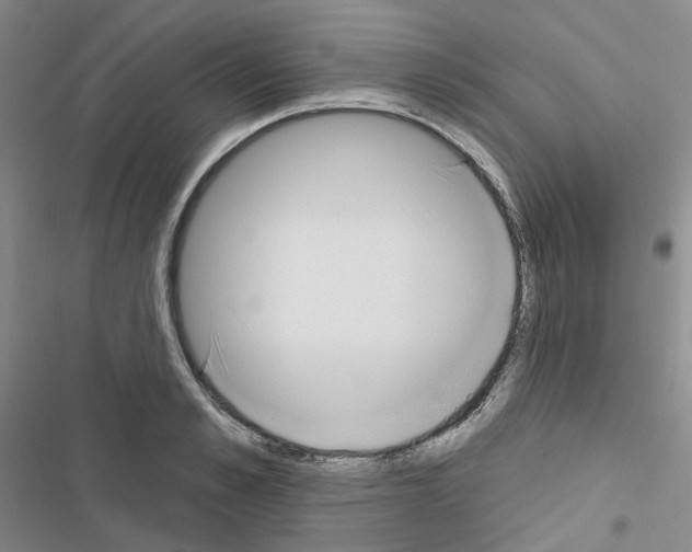 X0000116650989201001251153