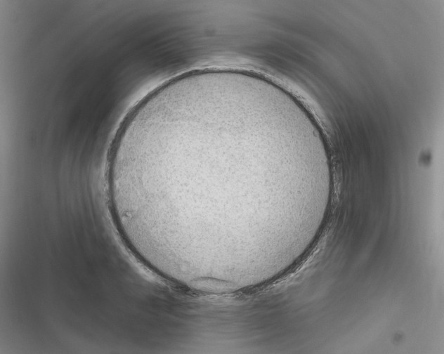X0000116650990201001251153