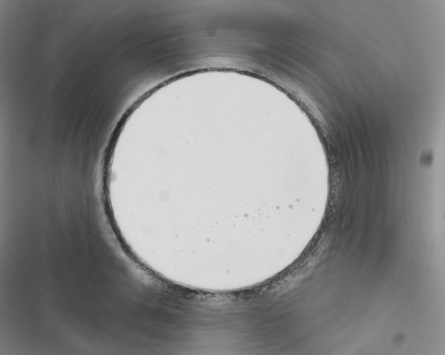 X0000116650991201001251153