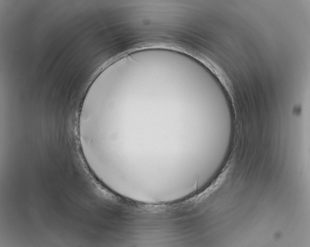 X0000116650993201001251153
