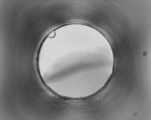 X0000116650995201001251153