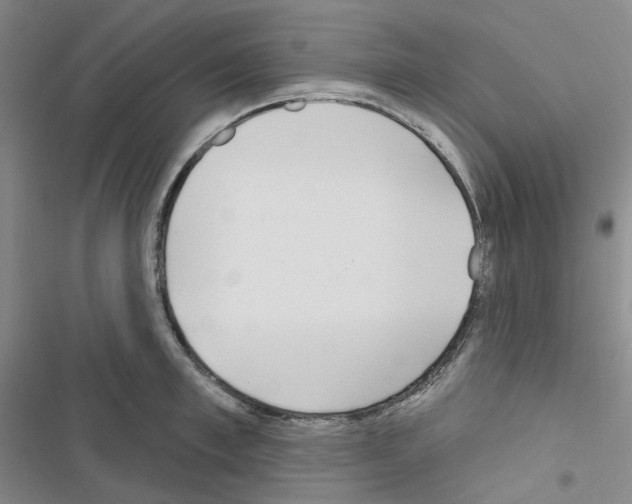 X0000116650997201001251153
