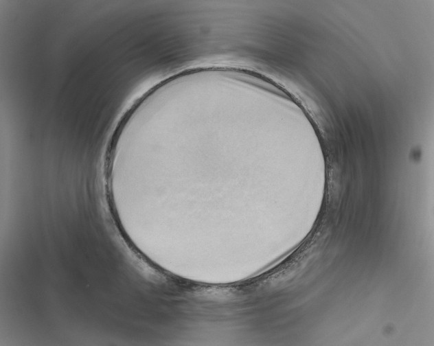 X0000116650998201001251153