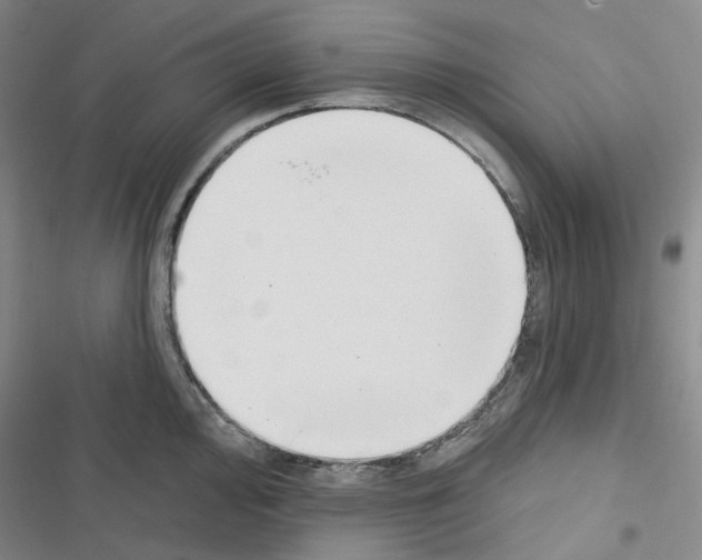 X0000116651000201001251153