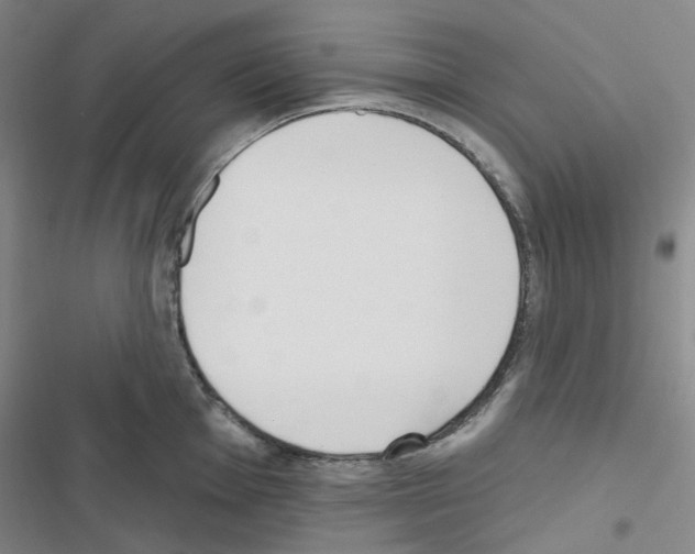 X0000116651001201001251153